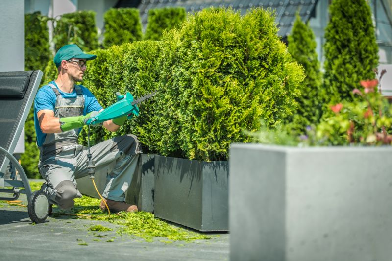 Expert Shrub Trimming