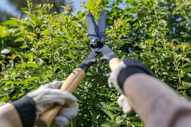 Professional Pruning Tools