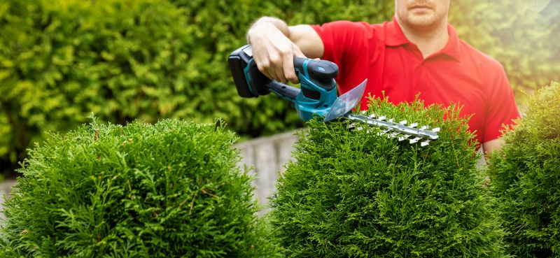 Customized Shrub Care