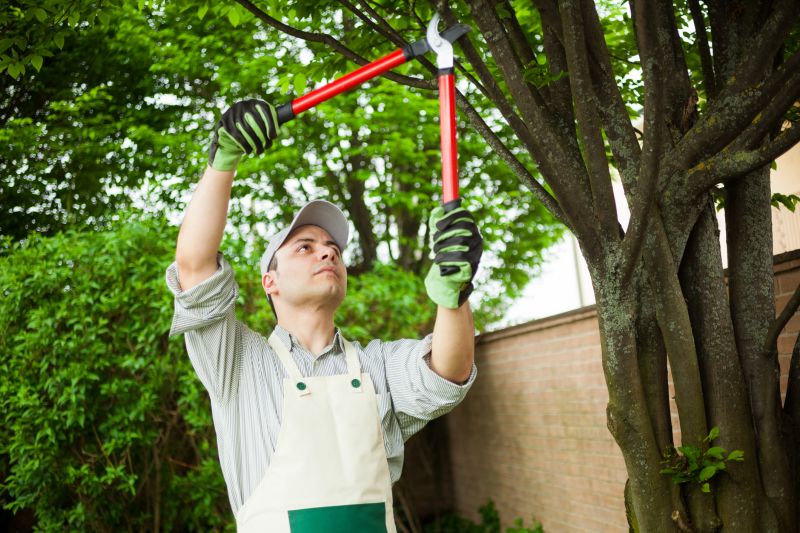 Specialized Shrub Pruning Experts