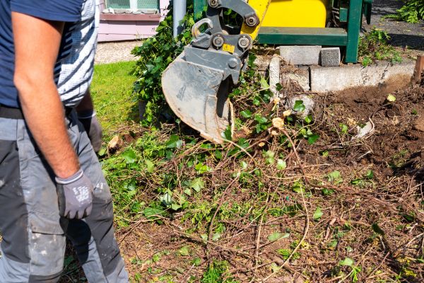 Cost of Hedge Removal Service in Dacula