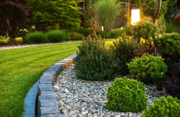 Cost of Bush Relocation in Dacula