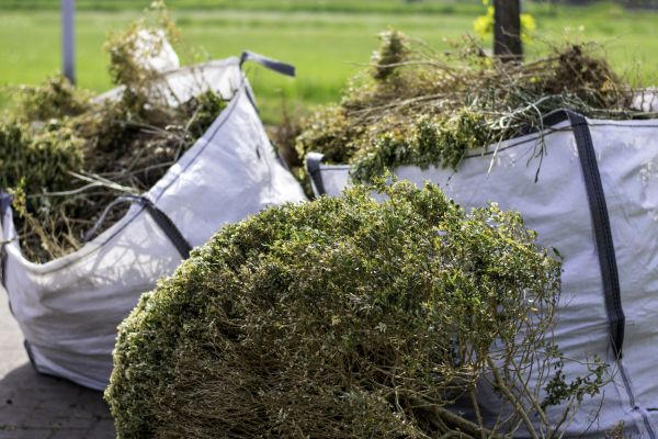 Cost of Shrubs Removal in Dacula